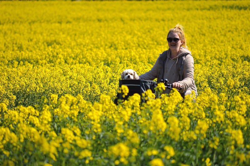 Advanced Technology Tour